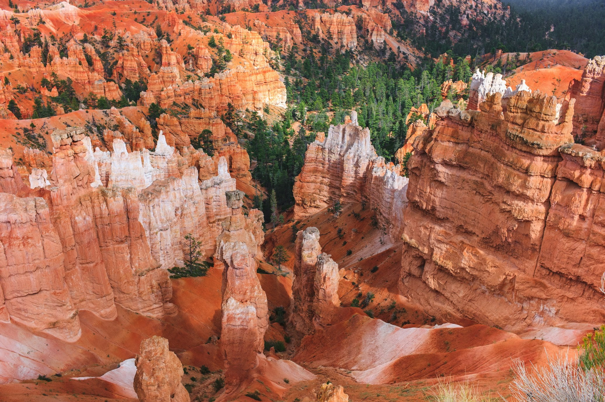 Bryce Canyon National Park, United States
