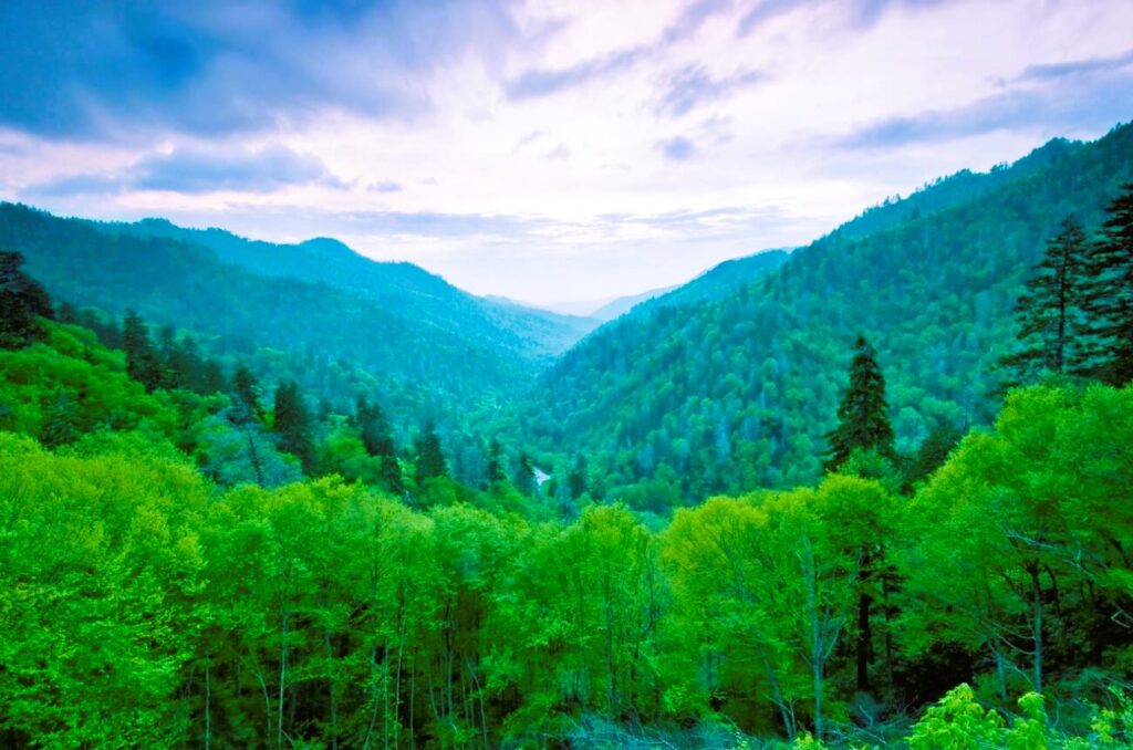 Great Smoky Mountains National Park Photo